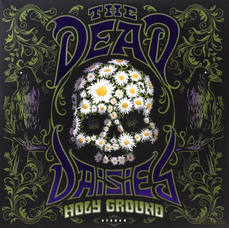 The Dead Daisies: Holy Ground (Purple) [2xWinyl]
