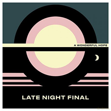 Late Night Final: A Wonderful Hope [Winyl]