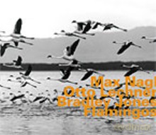 Max Nagl, Otto Lechner, Bradley Jones: Flamingos [CD]