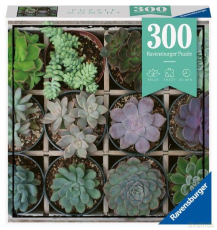 RAVENSBURGER 300 el. Moment: Rośliny 129676 [PUZZLE]