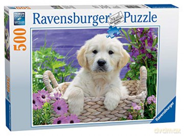 RAVENSBURGER 500 el. Słodki Golden Retriver 148295 [PUZZLE]