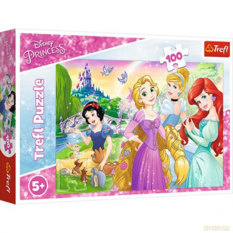 TREFL 100 el. Marzenie o byciu księżniczką. Księżniczki 16393 [PUZZLE]