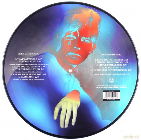 David Bowie: In The Beginning (Picture Disc) [Winyl]