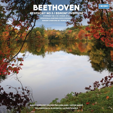 Beethoven: Symphony No 5 / Egmont Concertos [Winyl]