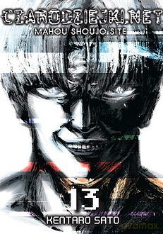 Czarodziejki.net (Tom 13) - Kentaro Sato [KOMIKS]