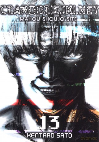 Czarodziejki.net (Tom 13) - Kentaro Sato [KOMIKS]