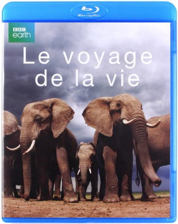 Life Story [Blu-Ray]