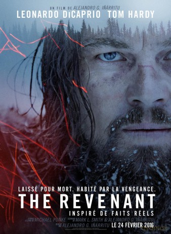 The Revenant (Zjawa) [DVD]