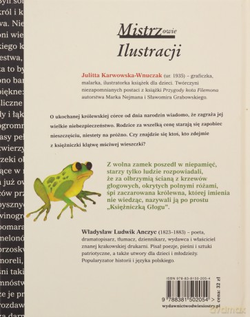 Księżniczka Głogu - Ludwik Anczyc Władysław [KSIĄŻKA]