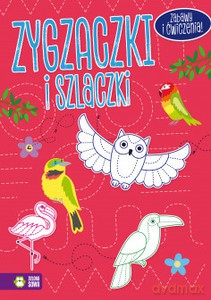 Zygzaczki i szlaczki (różowe) [KSIĄŻKA]