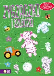 Zygzaczki i szlaczki (zielone) [KSIĄŻKA]