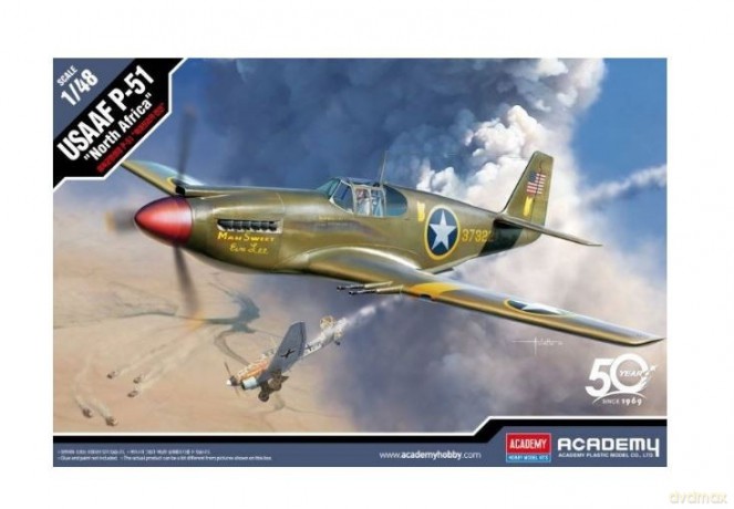 Plastikowy model USAAF P-51 North Africa
