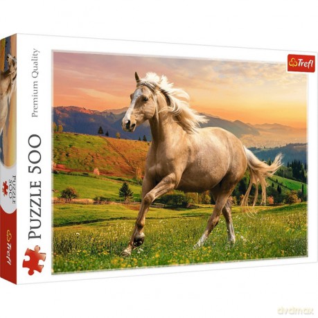 TREFL 500 el. Konie galop w popołudniowym słońcu [PUZZLE]