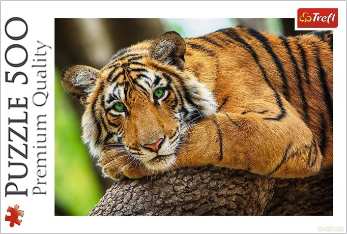 TREFL 500 el. Portret tygrysa [PUZZLE]