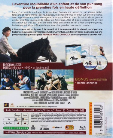 The Black Stallion (Czarny rumak) [Blu-Ray]+[DVD]