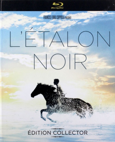 The Black Stallion (Czarny rumak) [Blu-Ray]+[DVD]