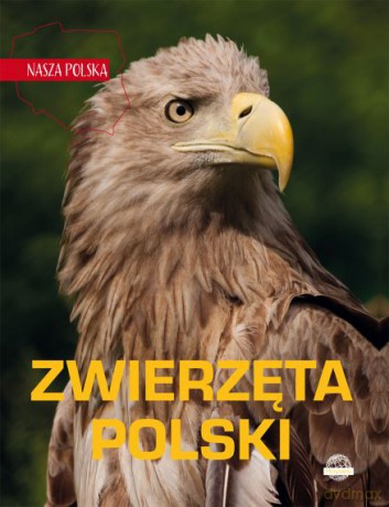 Zwierzęta Polski. Nasza Polska [KSIĄŻKA]