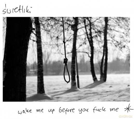 Świetliki: Wake Me Up Before You Fuck Me [CD]