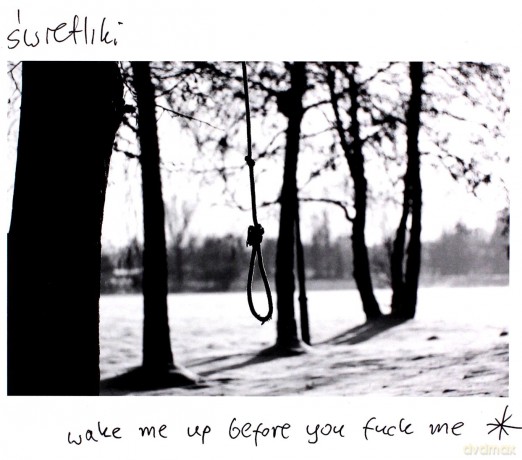 Świetliki: Wake Me Up Before You Fuck Me [CD]