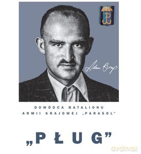 "Pług" Adam Borys, Dowódca Batalionu Armii Krajowej "Parasol" - Hubert Borys, Mariusz Olczak [KSIĄŻKA]