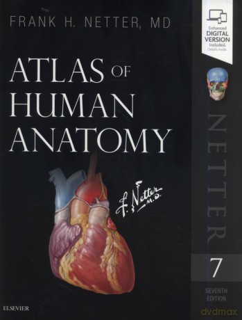 Atlas of Human Anatomy 7th Edition - Frank H. Netter [KSIĄŻKA]
