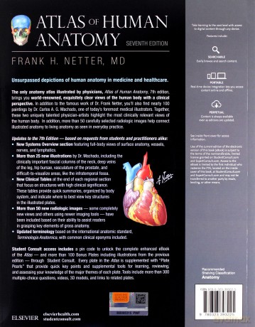 Atlas of Human Anatomy 7th Edition - Frank H. Netter [KSIĄŻKA]