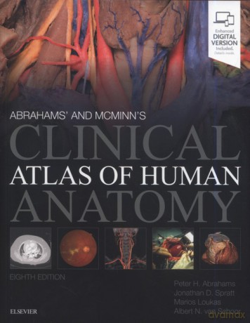 McMinn and Abrahams' Clinical Atlas of Human Anatomy 8th Edition - H. Abrahams Peter, D. Spratt Jonathan [KSIĄŻKA]