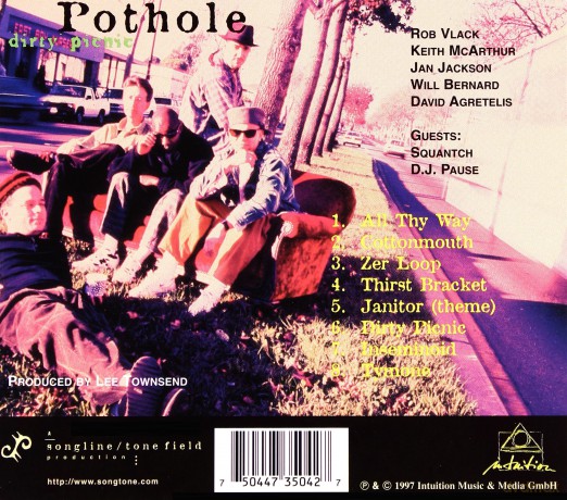 Pothole: Dirty Picnic [CD]