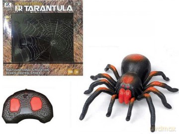 Pająk Tarntula na radio