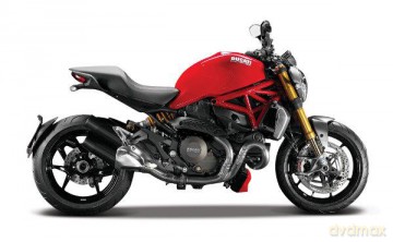 Motorcycles Ducati Panig. 1/12 do skł