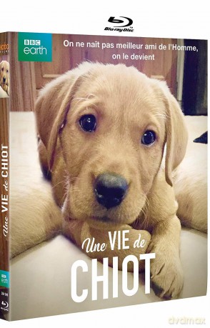 Une vie de chiot (BBC) [Blu-Ray]