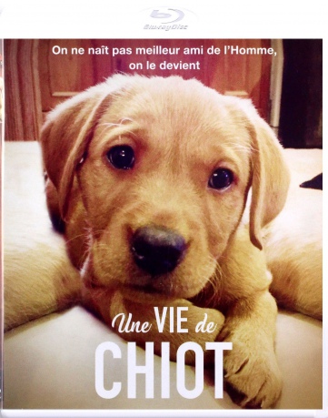 Une vie de chiot (BBC) [Blu-Ray]