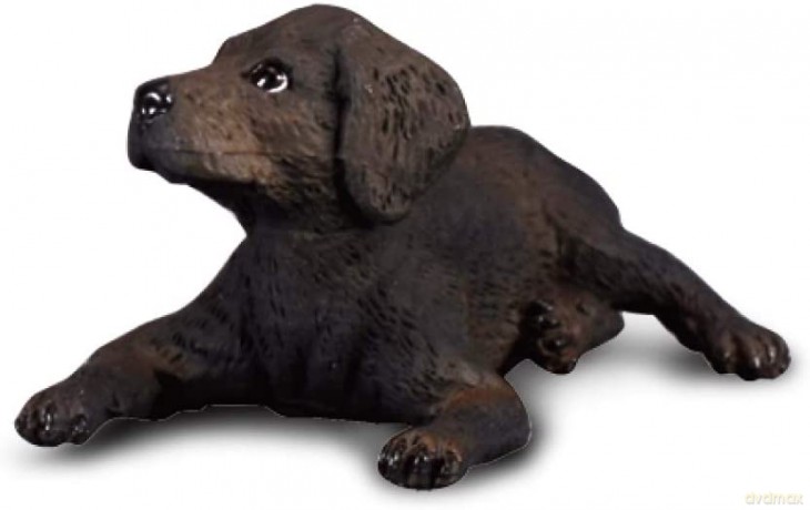 Pies Labrador szczeniak COLLECTA [FIGURKA]