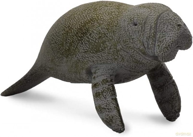 Słoń morski młody pływający COLLECTA [FIGURKA]