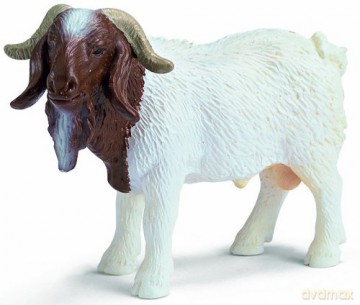 Schleich Baran biało-brązowy [FIGURKA]