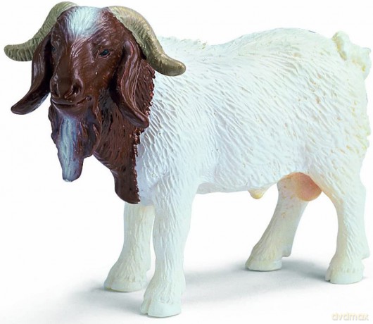 Schleich Baran biało-brązowy [FIGURKA]