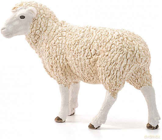 Schleich Owca [FIGURKA]