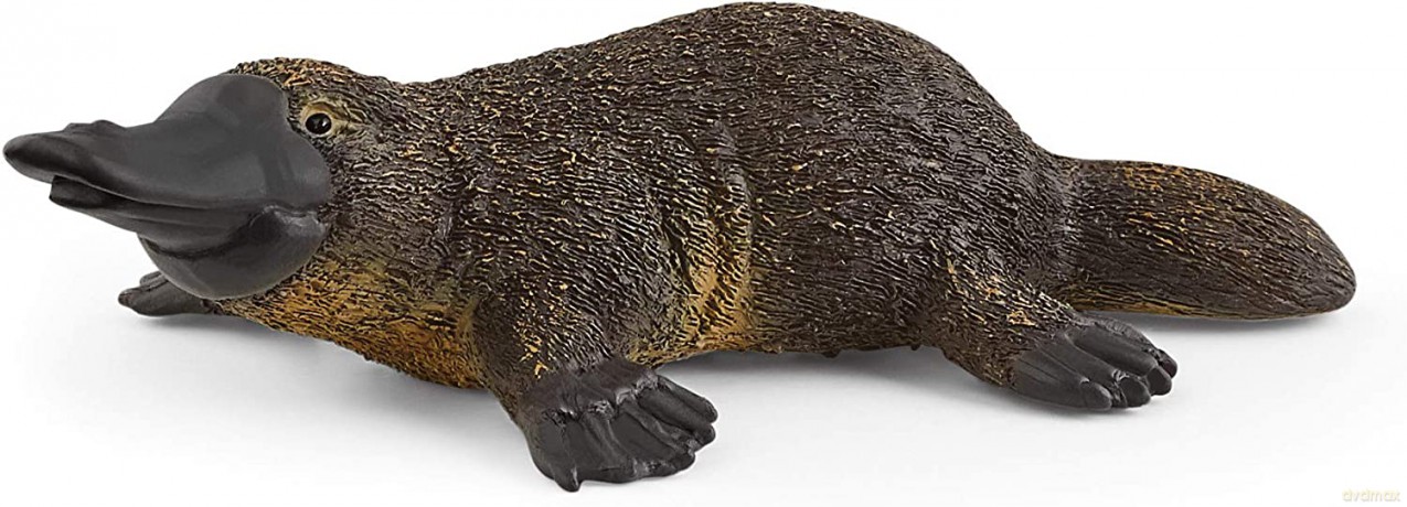 Schleich Dziobak Wild Life [FIGURKA]