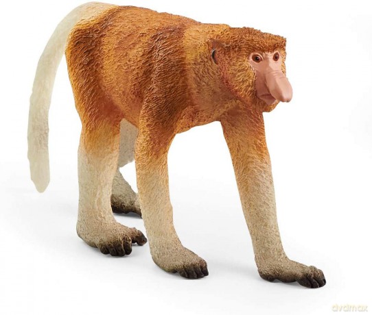 Schleich Nosacz Wild Life [FIGURKA]