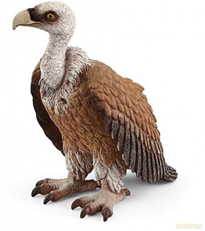 Schleich Sęp Wild Life [FIGURKA]