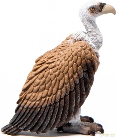 Schleich Sęp Wild Life [FIGURKA]