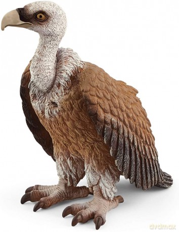 Schleich Sęp Wild Life [FIGURKA]