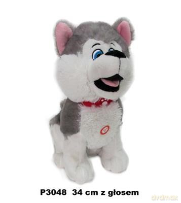 Pies husky z głosem 34 cm