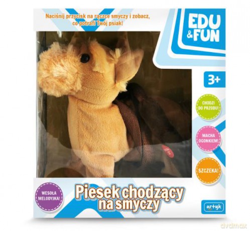 Piesek chodzący na smyczy