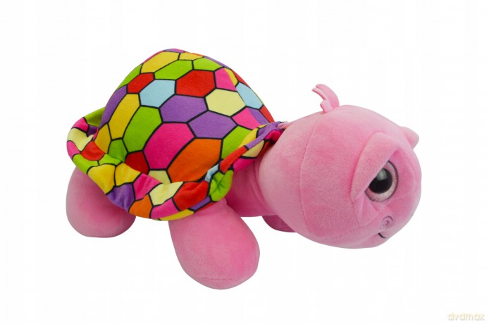 Żółw 35 cm 3 kolory