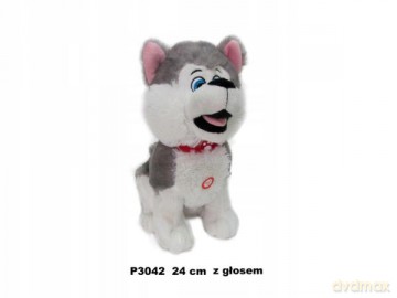 Pies husky z głosem 24 cm