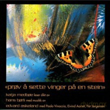 Katja Medboe: Try Attaching Wings To A Stone [CD]