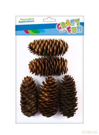 CF Ozdoba dekoracyjna Natura Szyszka 7-11 cm 50 g
