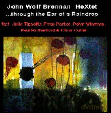 John Wolf Brennan Hextet: ...Through The Ear Of A Raindrop [CD]
