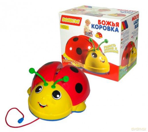Polesie Biedronka w pudełku